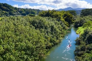 Palomino: Aventura en Paddle Board por el río Palomino