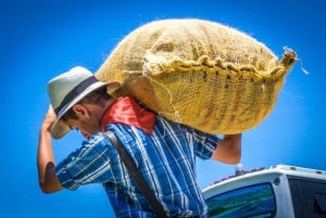 Parque los Arrieros: Experience the mule driver culture in the heart of Quindío!