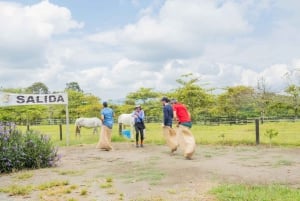 Parque los Arrieros: Experience the mule driver culture in the heart of Quindío!