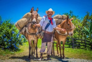 Parque los Arrieros: Experience the mule driver culture in the heart of Quindío!