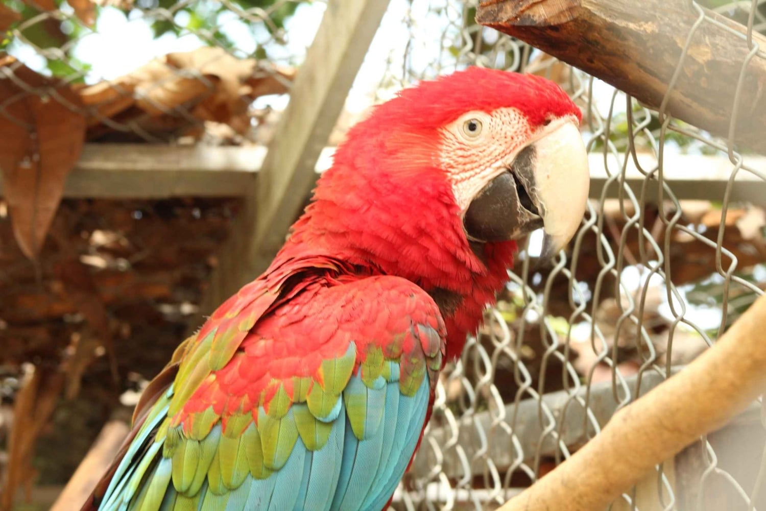 Paso del Mango -vaellus, kasvitieteellinen puutarha ja suklaa