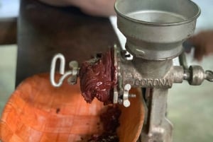 Paso del Mango-vandring, botanisk trädgård och choklad