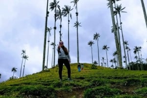 Pereira: Cocora Valley and Salento Private Hiking Tour