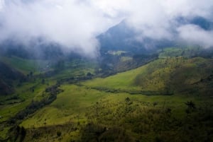 Pereira: Cocora Valley and Salento Guided Hiking Tour