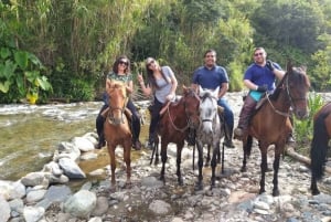 Pereira: Cocora Valley and Salento Tour with Horseback Ride