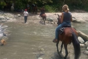 Pereira: Cocora Valley and Salento Tour with Horseback Ride