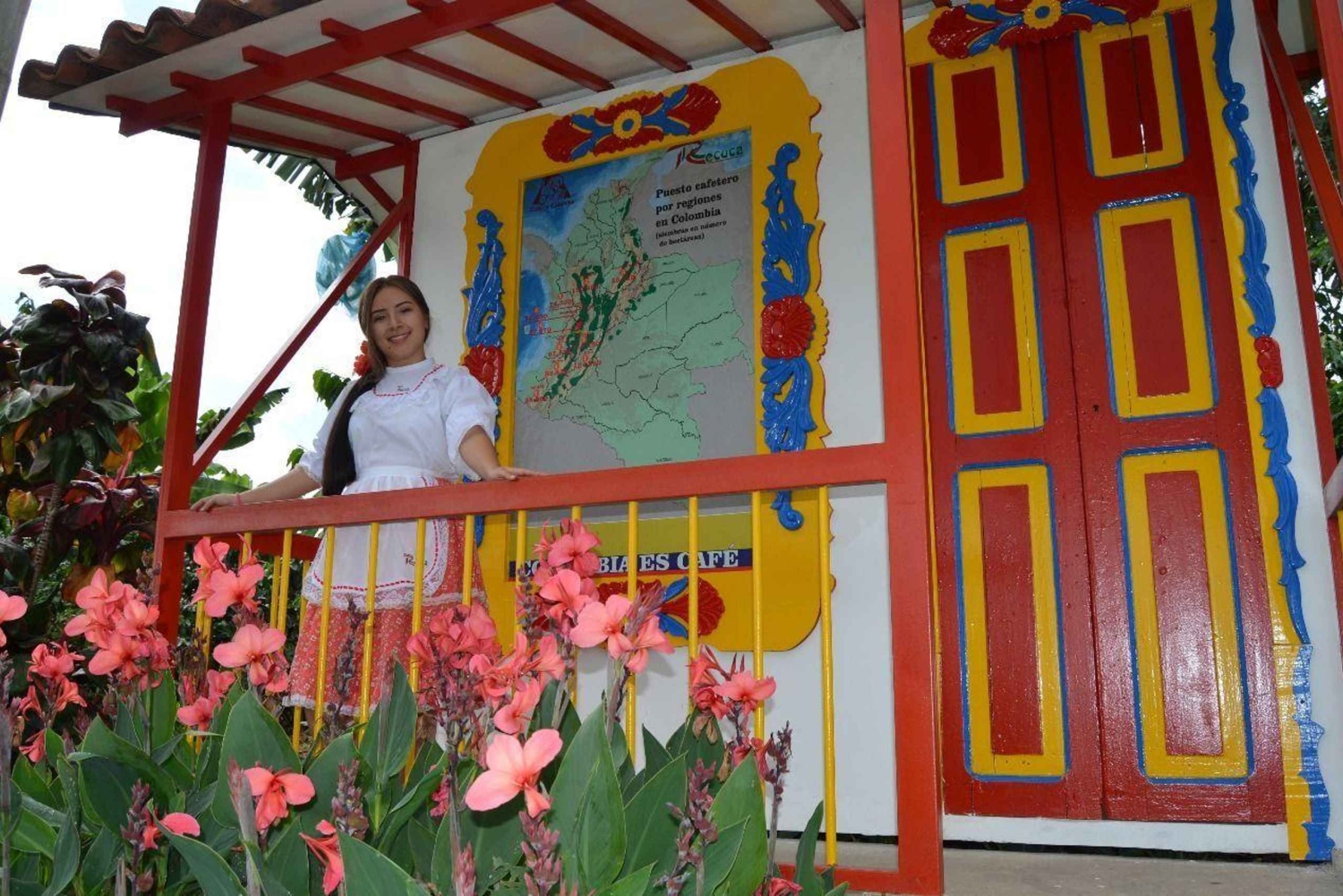 Pereira: esperienza sul caffè con degustazione e passaggio in hotel