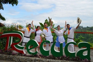 Pereira: esperienza sul caffè con degustazione e passaggio in hotel