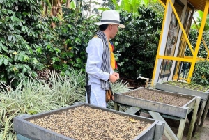 Pereira: esperienza sul caffè con degustazione e passaggio in hotel