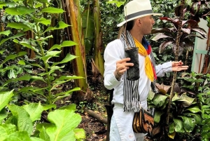 Pereira: esperienza sul caffè con degustazione e passaggio in hotel