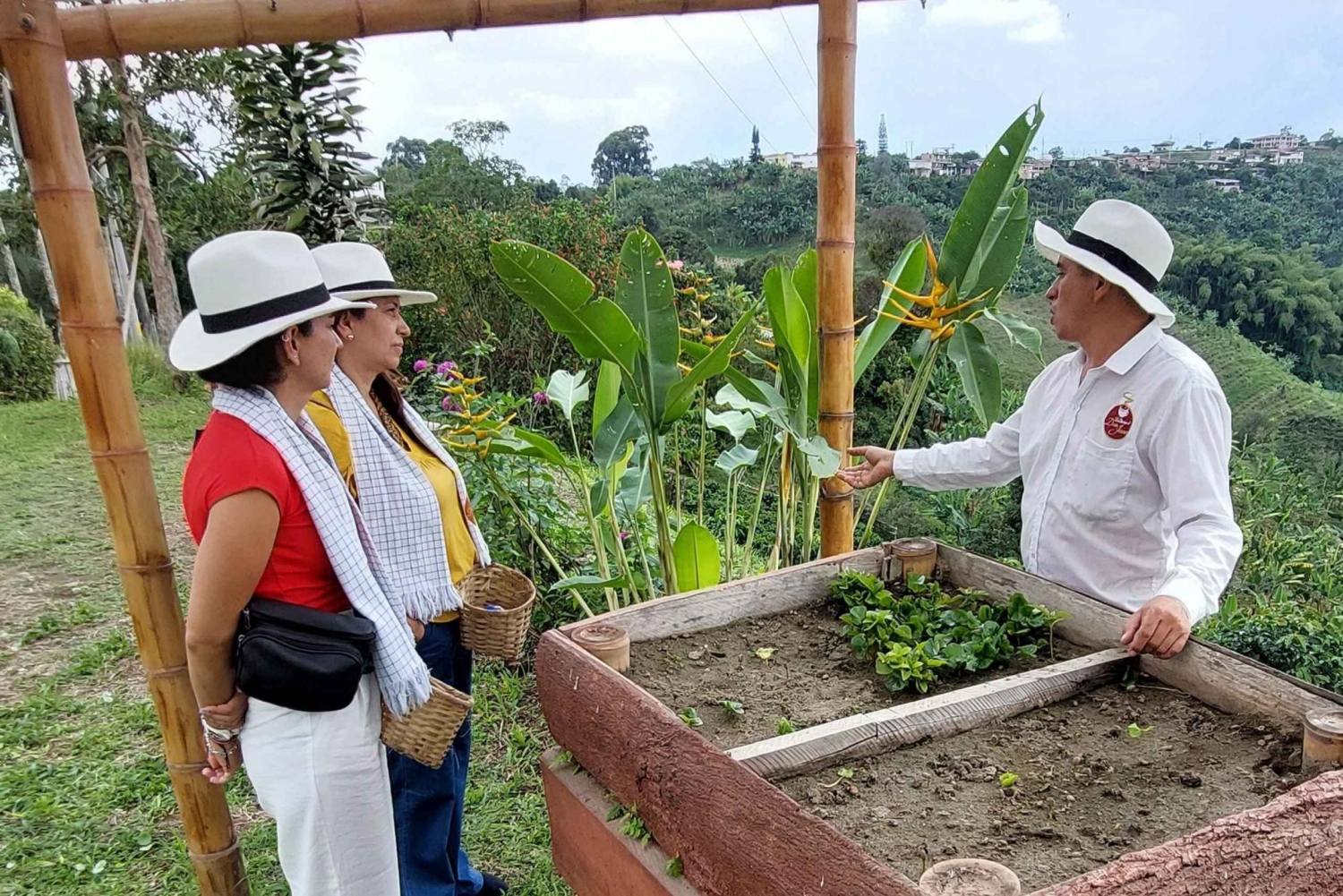 Pereira: Family Traditions Coffee Experience