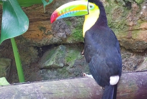 PEREIRA: GANZER TAG IM UKUMARI BIOPARK MIT MITTAGESSEN