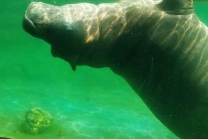 PEREIRA: GANZER TAG IM UKUMARI BIOPARK MIT MITTAGESSEN