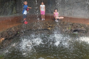 PEREIRA: GANZER TAG IM UKUMARI BIOPARK MIT MITTAGESSEN