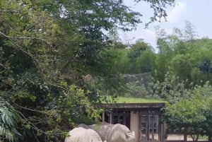 ペレイラ：ウクマリ バイオパークでの 1 日（昼食付き）