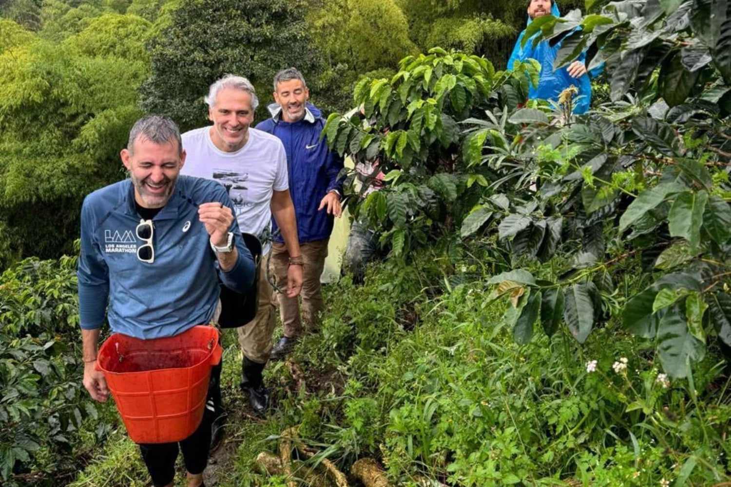 Pereira: tour del caffè a Grisales, un'esperienza sensoriale immersiva