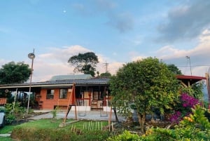 Pereira: tour del caffè a Grisales, un'esperienza sensoriale immersiva