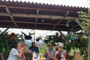 Pereira: tour del caffè a Grisales, un'esperienza sensoriale immersiva