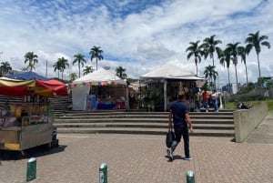 PEREIRA: PRIVATE TOUR OF MAIN SQUARES, HISTORICAL SITES + LOOKOUT POINT