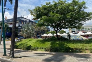 PEREIRA: PRIVATE TOUR OF MAIN SQUARES, HISTORICAL SITES + LOOKOUT POINT