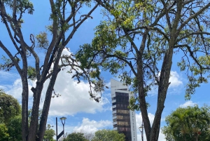 PEREIRA: PRIVATE TOUR OF MAIN SQUARES, HISTORICAL SITES + LOOKOUT POINT