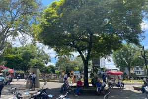 PEREIRA: PRYWATNA WYCIECZKA PO GŁÓWNYCH PLACACH, MIEJSCACH HISTORYCZNYCH + PUNKT WIDOKOWY