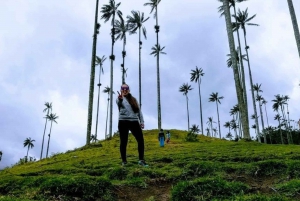 Pereira & Salento: Cocora Valley and Coffee Farm Day Tour