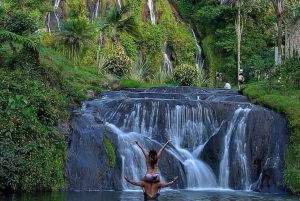 Pereira & Salento: Santa Rosa de Cabal Thermal Springs Trip