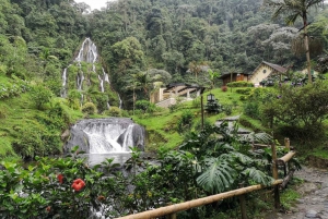 Pereira & Salento: Santa Rosa de Cabal Thermal Springs Trip