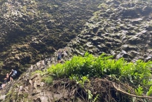PEREIRA: DAY TREKKING TO WATERFALL + LUNCH AND MOUNTAINEERING COFFEE