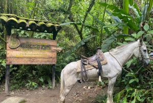 PEREIRA: DAY TREKKING TO WATERFALL + LUNCH AND MOUNTAINEERING COFFEE
