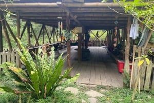 PEREIRA: DAY TREKKING TO WATERFALL + LUNCH AND MOUNTAINEERING COFFEE