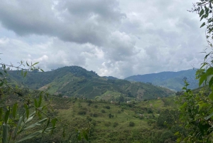 PEREIRA: DAY TREKKING TO WATERFALL + LUNCH AND MOUNTAINEERING COFFEE