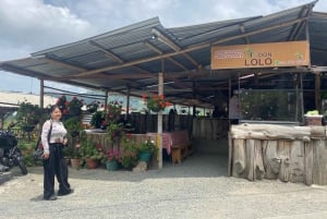 PEREIRA: DAY TREKKING TO WATERFALL + LUNCH AND MOUNTAINEERING COFFEE