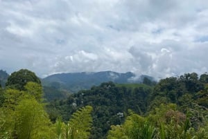 PEREIRA: DAY TREKKING TO WATERFALL + LUNCH AND MOUNTAINEERING COFFEE
