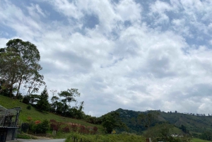 PEREIRA: DAY TREKKING TO WATERFALL + LUNCH AND MOUNTAINEERING COFFEE