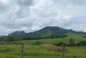 PEREIRA: DAY TREKKING TO WATERFALL + LUNCH AND MOUNTAINEERING COFFEE