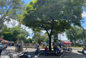 PEREIRA: PRIVATE TOUR OF MAIN SQUARES, HISTORICAL SITES + LOOKOUT POINT