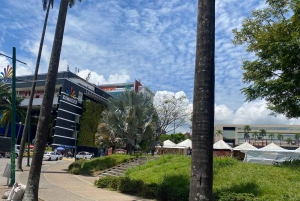 PEREIRA: PRIVATE TOUR OF MAIN SQUARES, HISTORICAL SITES + LOOKOUT POINT