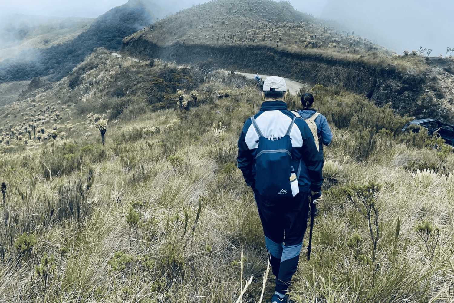 Pijao: vierailu frailejones-kasveihin Páramo de Chillin aavikolla