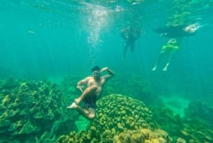 Playa Blanca: Daytour with Snorkeling and Racoon Sighting