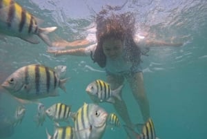 Playa Blanca: Daytour with Snorkeling and Racoon Sighting