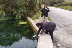 Popayan: Condor Watching in Purace + San Juan Hot Springs