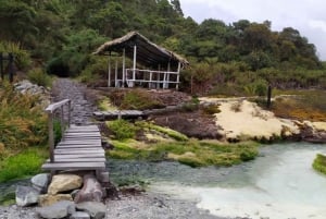 Popayan: Condor Watching in Purace + San Juan Hot Springs