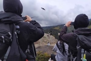 Popayan: Condor Watching in Purace + San Juan Hot Springs