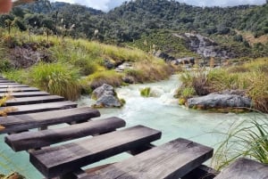 Popayan: Condor Watching in Purace + San Juan Hot Springs