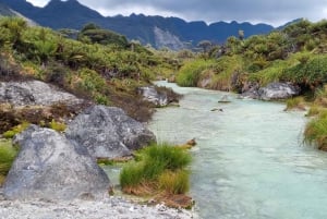 Popayan: Condor Watching in Purace + San Juan Hot Springs