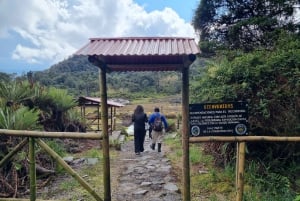 Popayan: Condor Watching in Purace + San Juan Hot Springs