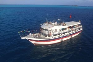 Premium cruise-tur i San Andres-bukten for å se solnedgangen.