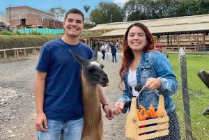 Visite PREMIUM à Guatapé, BATEAU DE LUXE et TRANSPORT GRATUIT depuis Medellín